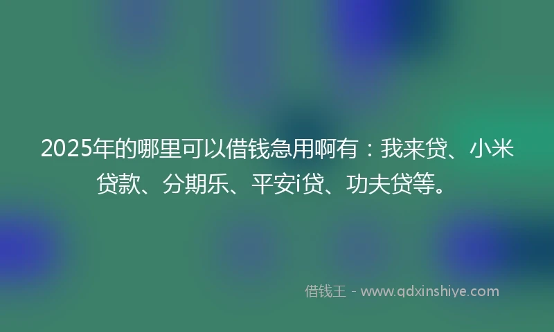 2025年的哪里可以借钱急用啊有：我来贷、小米贷款、分期乐、平安i贷、功夫贷等。