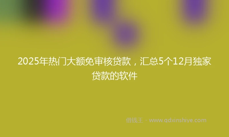 2025年热门大额免审核贷款，汇总5个12月独家贷款的软件