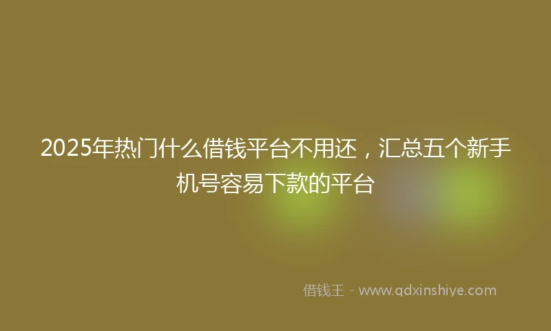 2025年热门什么借钱平台不用还,汇总五个新手机号容易下款的平台