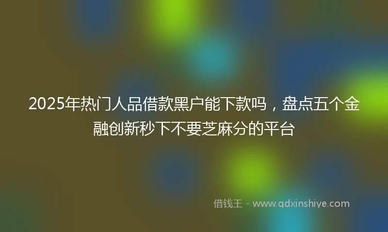 2025年热门人品借款黑户能下款吗，盘点五个金融创新秒下不要芝麻分的平台