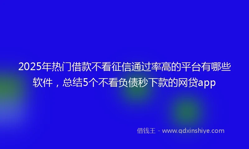 2025年热门借款不看征信通过率高的平台有哪些软件，总结5个不看负债秒下款的网贷app