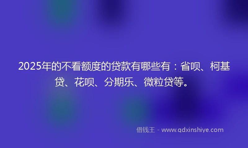 2025年的不看额度的贷款有哪些有：省呗、柯基贷、花呗、分期乐、微粒贷等。