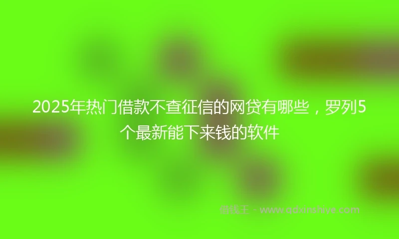 2025年热门借款不查征信的网贷有哪些，罗列5个最新能下来钱的软件