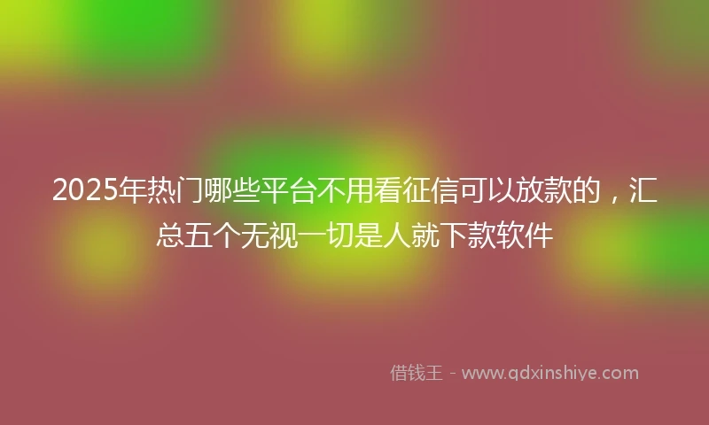 2025年热门哪些平台不用看征信可以放款的，汇总五个无视一切是人就下款软件
