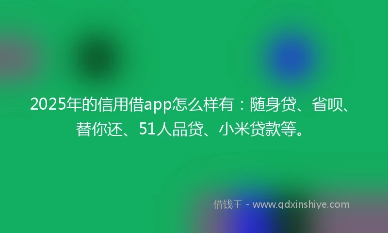 2025年的信用借app怎么样有：随身贷、省呗、替你还、51人品贷、小米贷款等。