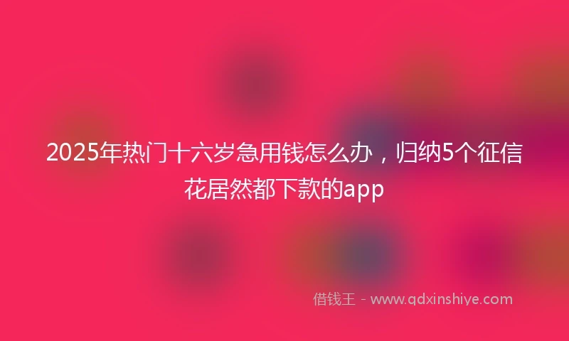 2025年热门十六岁急用钱怎么办，归纳5个征信花居然都下款的app