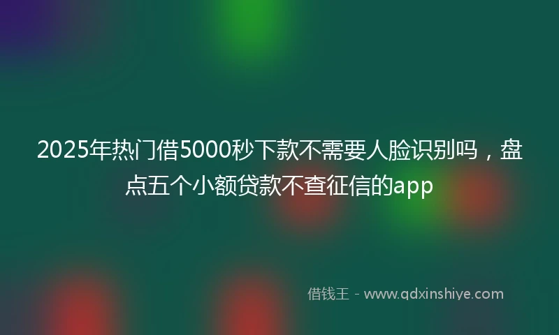 2025年热门借5000秒下款不需要人脸识别吗，盘点五个小额贷款不查征信的app