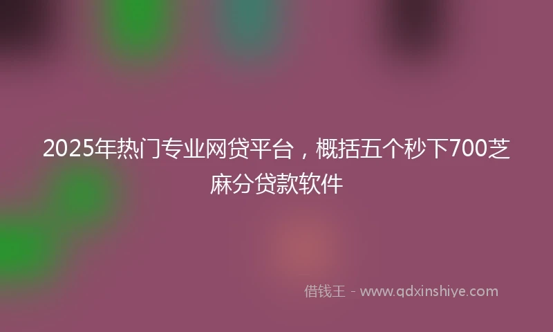 2025年热门专业网贷平台，概括五个秒下700芝麻分贷款软件
