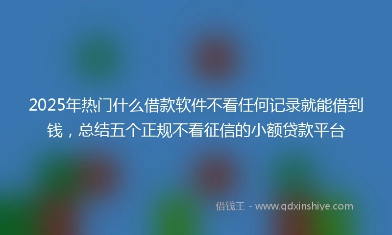 2025年热门什么借款软件不看任何记录就能借到钱，总结五个正规不看征信的小额贷款平台