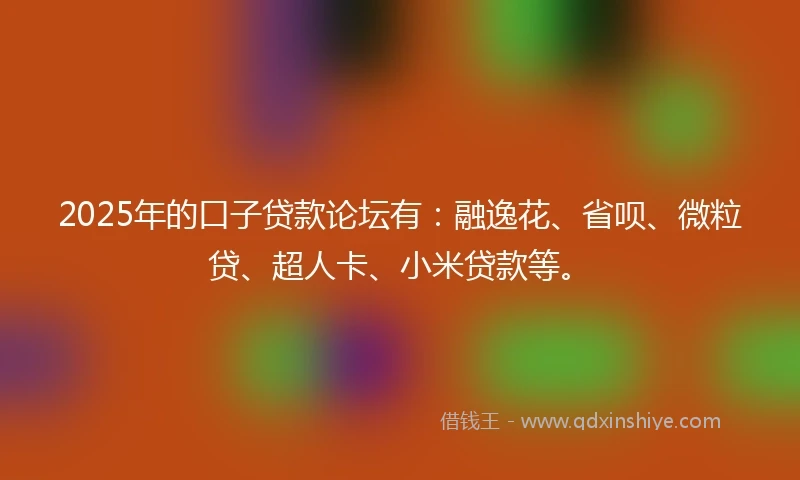 2025年的口子贷款论坛有：融逸花、省呗、微粒贷、超人卡、小米贷款等。