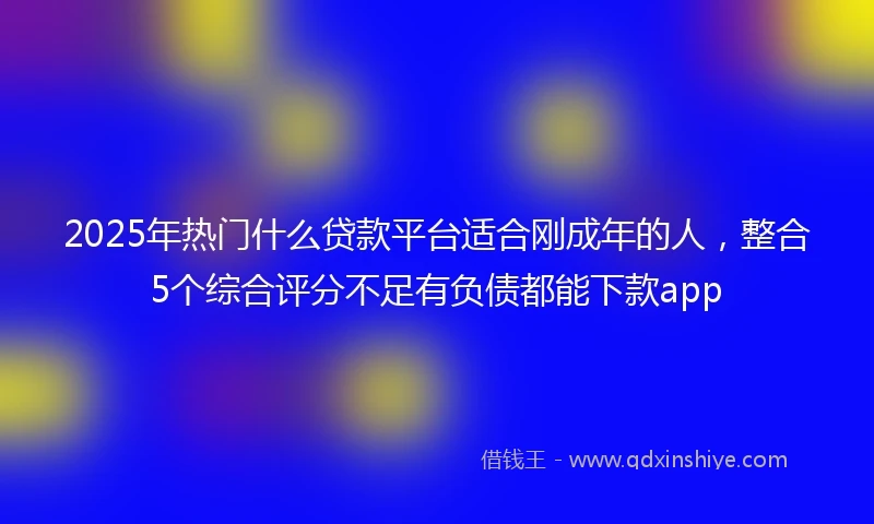 2025年热门什么贷款平台适合刚成年的人，整合5个综合评分不足有负债都能下款app