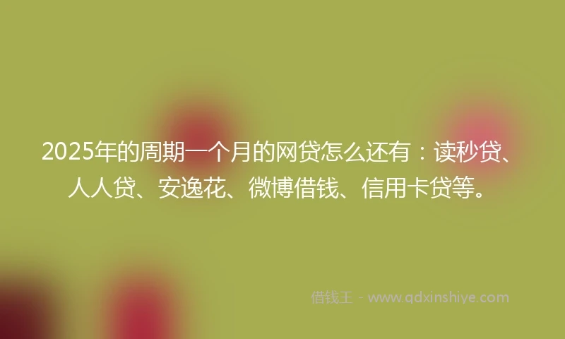 2025年的周期一个月的网贷怎么还有：读秒贷、人人贷、安逸花、微博借钱、信用卡贷等。