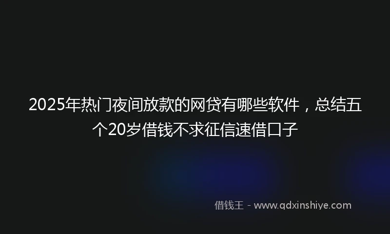 2025年热门夜间放款的网贷有哪些软件，总结五个20岁借钱不求征信速借口子