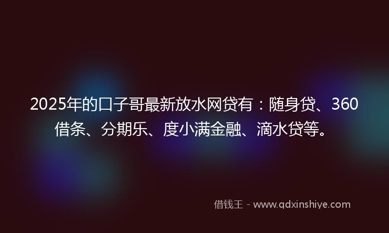 2025年的口子哥最新放水网贷有：随身贷、360借条、分期乐、度小满金融、滴水贷等。
