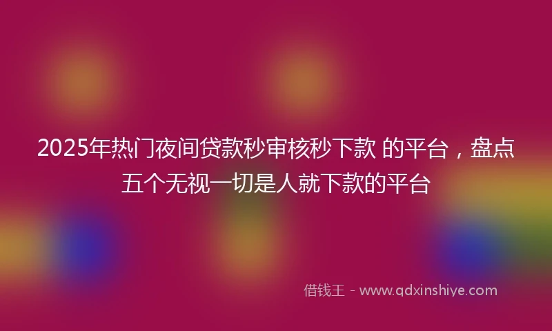 2025年热门夜间贷款秒审核秒下款 的平台，盘点五个无视一切是人就下款的平台
