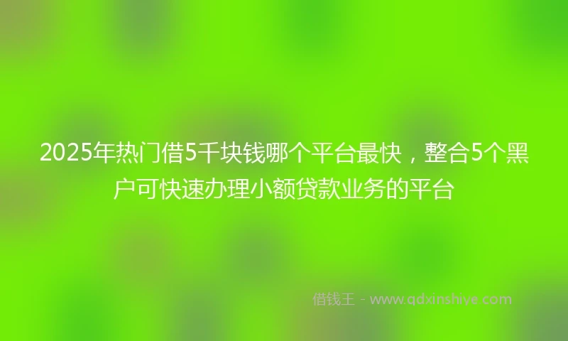 2025年热门借5千块钱哪个平台最快，整合5个黑户可快速办理小额贷款业务的平台