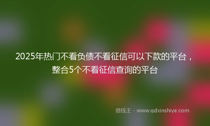 2025年热门不看负债不看征信可以下款的平台，整合5个不看征信查询的平台