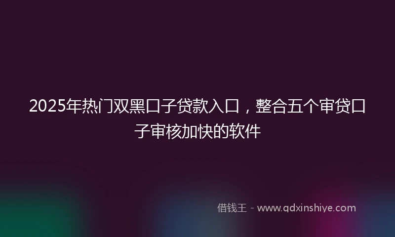 2025年热门双黑口子贷款入口，整合五个审贷口子审核加快的软件