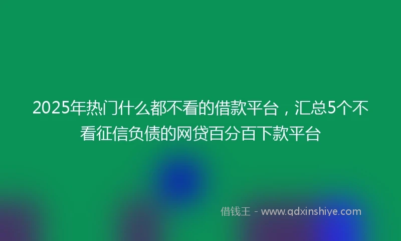 2025年热门什么都不看的借款平台，汇总5个不看征信负债的网贷百分百下款平台