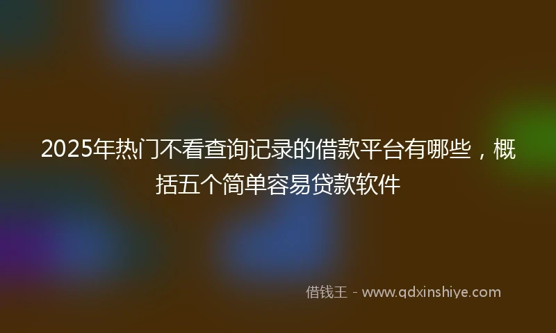 2025年热门不看查询记录的借款平台有哪些，概括五个简单容易贷款软件