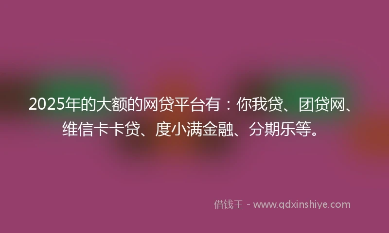 2025年的大额的网贷平台有：你我贷、团贷网、维信卡卡贷、度小满金融、分期乐等。