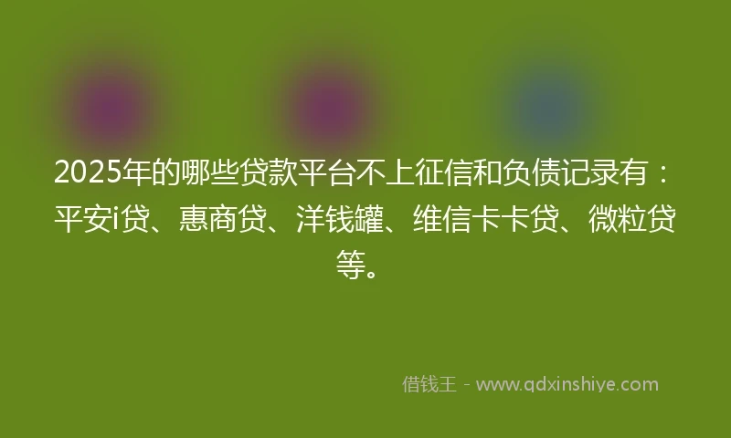 2025年的哪些贷款平台不上征信和负债记录有：平安i贷、惠商贷、洋钱罐、维信卡卡贷、微粒贷等。