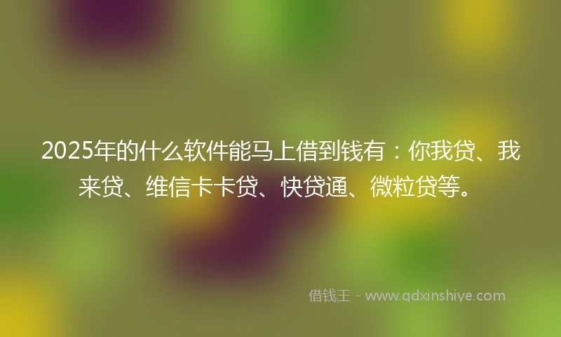 2025年的什么软件能马上借到钱有：你我贷、我来贷、维信卡卡贷、快贷通、微粒贷等。
