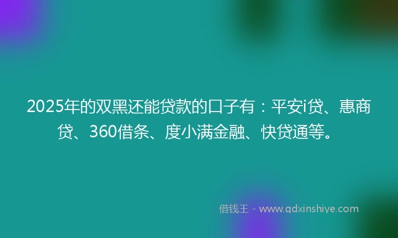 2025年的双黑还能贷款的口子有：平安i贷、惠商贷、360借条、度小满金融、快贷通等。