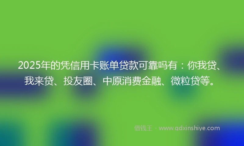 2025年的凭信用卡账单贷款可靠吗有：你我贷、我来贷、投友圈、中原消费金融、微粒贷等。