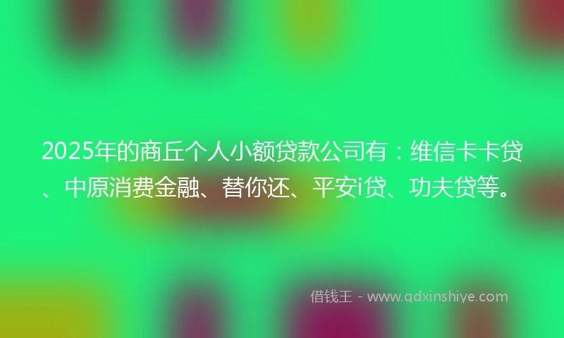 2025年的商丘个人小额贷款公司有：维信卡卡贷、中原消费金融、替你还、平安i贷、功夫贷等。