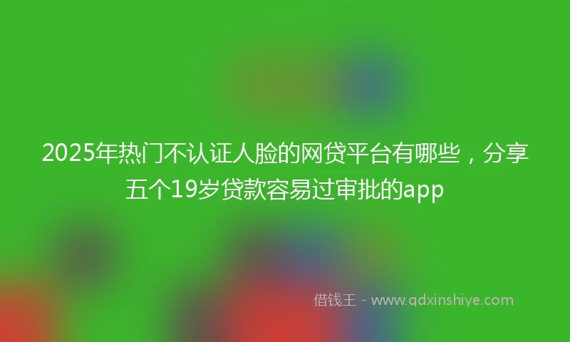 2025年热门不认证人脸的网贷平台有哪些，分享五个19岁贷款容易过审批的app
