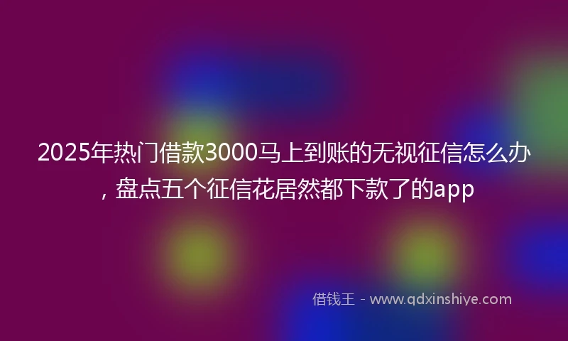 2025年热门借款3000马上到账的无视征信怎么办，盘点五个征信花居然都下款了的app