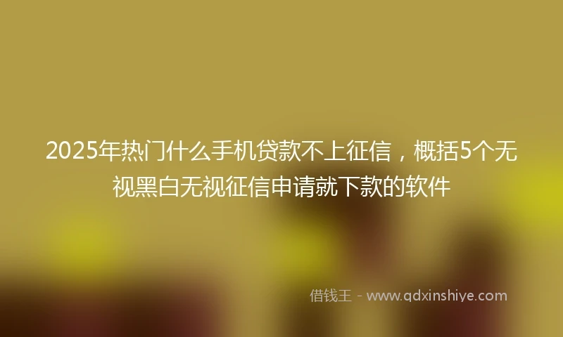 2025年热门什么手机贷款不上征信,概括5个无视黑白无视征信申请就下款的软件