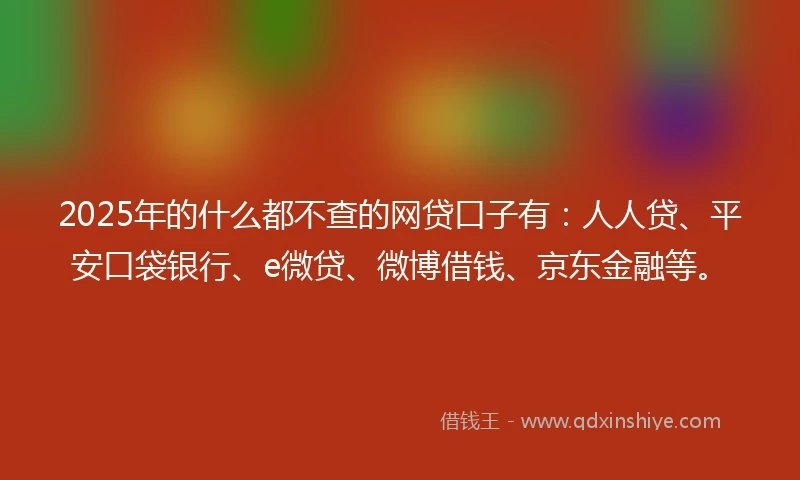 2025年的什么都不查的网贷口子有：人人贷、平安口袋银行、e微贷、微博借钱、京东金融等。