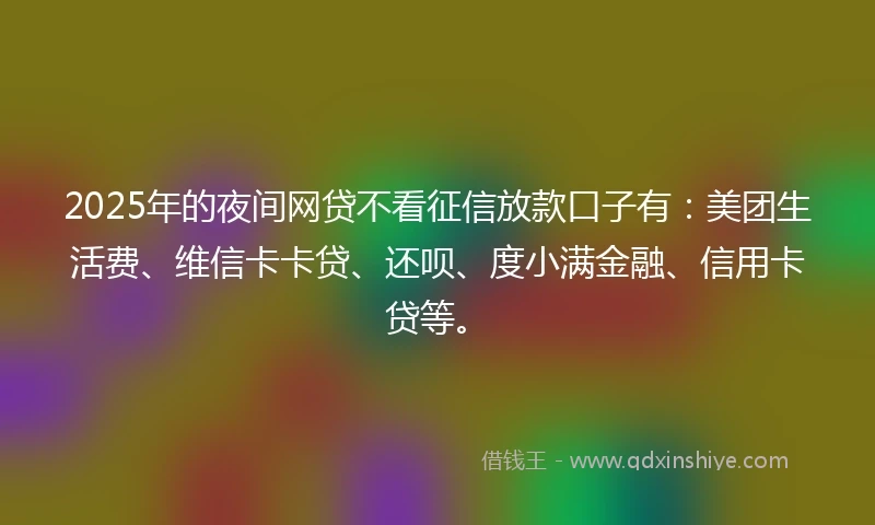 2025年的夜间网贷不看征信放款口子有：美团生活费、维信卡卡贷、还呗、度小满金融、信用卡贷等。