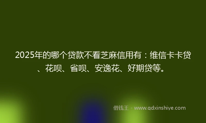 2025年的哪个贷款不看芝麻信用有：维信卡卡贷、花呗、省呗、安逸花、好期贷等。