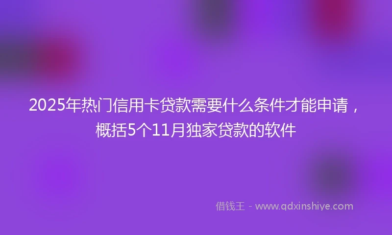 2025年热门信用卡贷款需要什么条件才能申请，概括5个11月独家贷款的软件