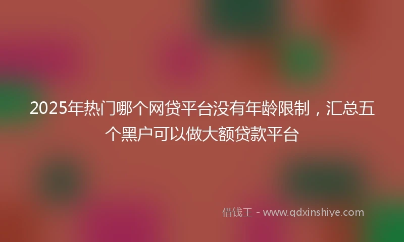 2025年热门哪个网贷平台没有年龄限制，汇总五个黑户可以做大额贷款平台