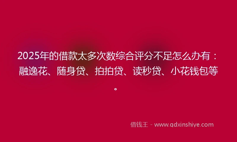 2025年的借款太多次数综合评分不足怎么办有：融逸花、随身贷、拍拍贷、读秒贷、小花钱包等。