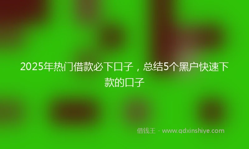 2025年热门借款必下口子，总结5个黑户快速下款的口子