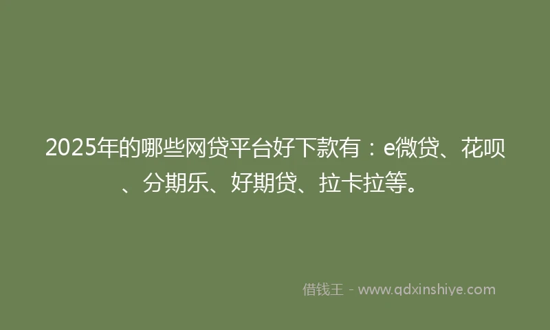 2025年的哪些网贷平台好下款有：e微贷、花呗、分期乐、好期贷、拉卡拉等。