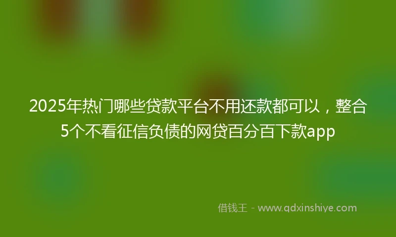 2025年热门哪些贷款平台不用还款都可以，整合5个不看征信负债的网贷百分百下款app
