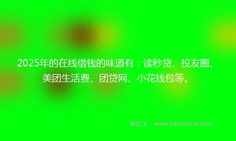 2025年的在线借钱的味道有：读秒贷、投友圈、美团生活费、团贷网、小花钱包等。