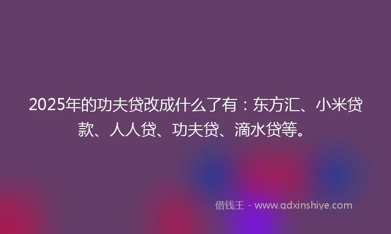 2025年的功夫贷改成什么了有：东方汇、小米贷款、人人贷、功夫贷、滴水贷等。