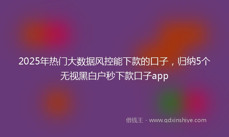 2025年热门大数据风控能下款的口子，归纳5个无视黑白户秒下款口子app