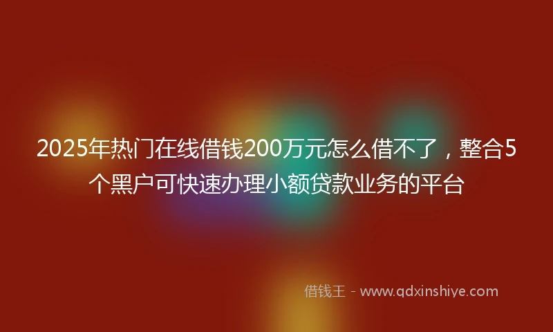 2025年热门在线借钱200万元怎么借不了，整合5个黑户可快速办理小额贷款业务的平台