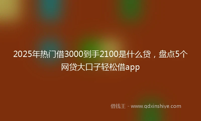 2025年热门借3000到手2100是什么贷，盘点5个网贷大口子轻松借app