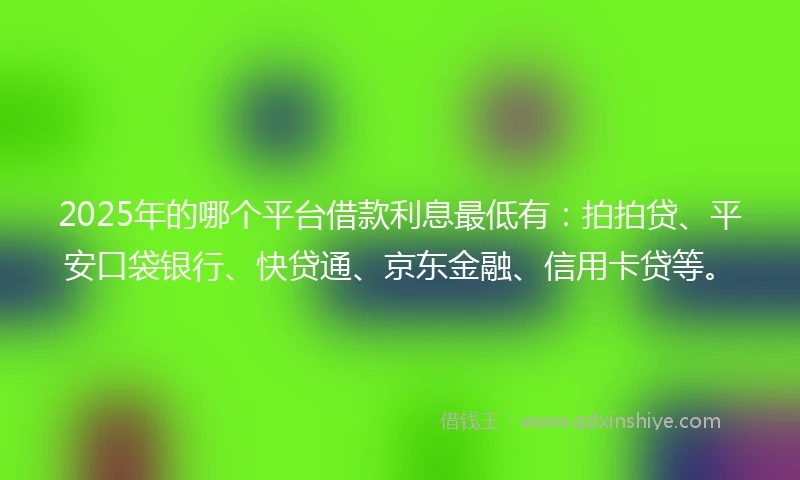 2025年的哪个平台借款利息最低有：拍拍贷、平安口袋银行、快贷通、京东金融、信用卡贷等。