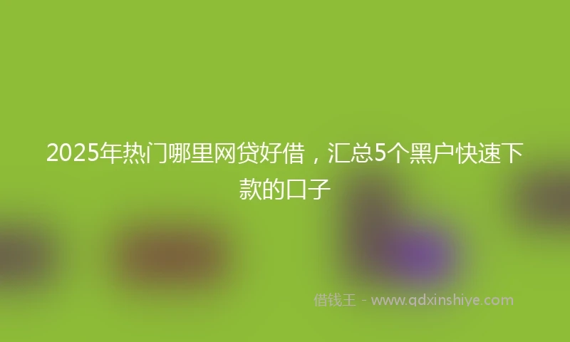 2025年热门哪里网贷好借，汇总5个黑户快速下款的口子