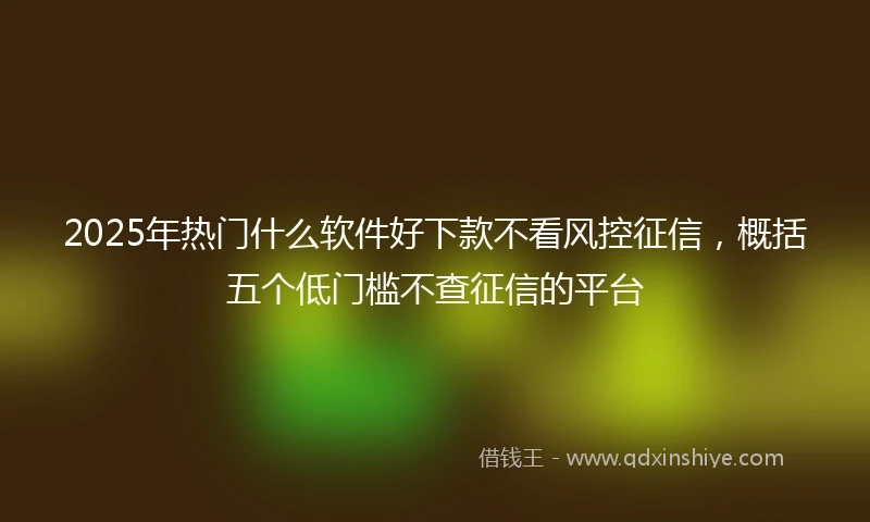 2025年热门什么软件好下款不看风控征信，概括五个低门槛不查征信的平台